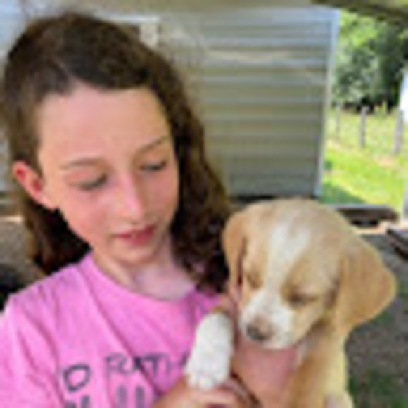 Meet your Posher, Sophia findley - Picture 1 of 1